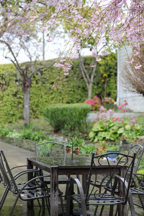 Oasis On Orwell Bed And Breakfast Oamaru Extérieur photo
